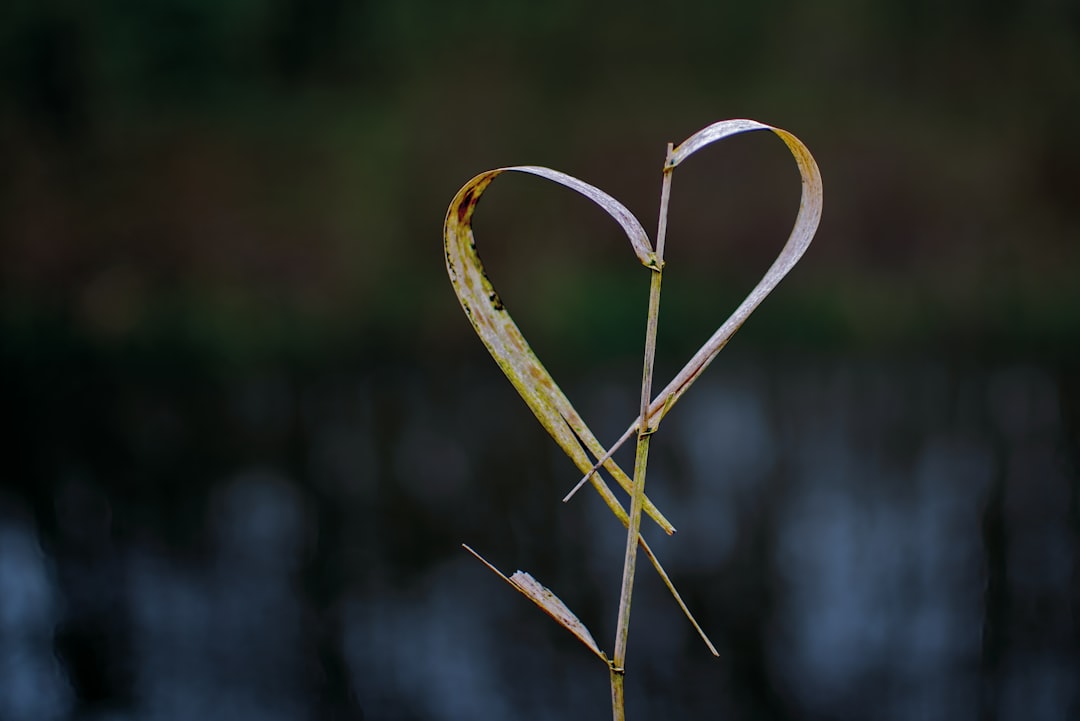 Mattie Valk straalt met zijn vriendin Kiki: samenwonen en geluk delen