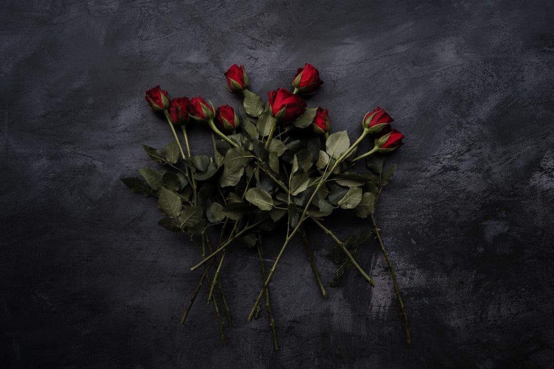 Jacob Elordi en relaties: liefde, roem en veel geruchten